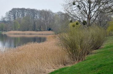 losheimer stausee