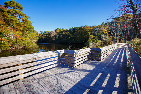 The extensive boardwalks that make up the ADA (Americans with Disabilities) Trail. The .5 loop takes you past a large freshwater pond as well as brackish marsh and maritime forest.