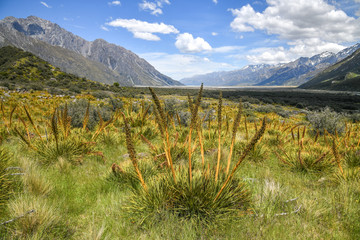 Naklejka premium Tasman Valley New Zealand