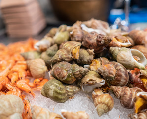 fresh seafood market show Spotted babylon