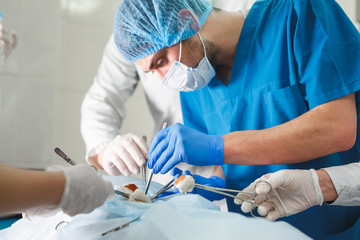 Group of surgeons at work operating in surgical theatre. Resuscitation medicine team wearing protective masks holding steel medical tools saving patient. Surgery and emergency concept.