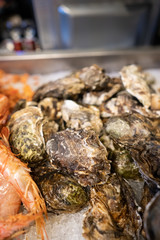 Fresh closed oysters on counter with ice