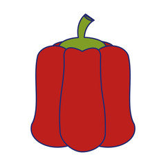 Red pepper fresh vegetable blue lines