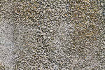 gray texture of old concrete