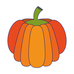 Pumpkin fresh vegetable blue lines