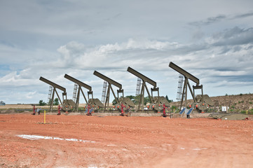 Fototapeta premium Five pumpjack in a row
