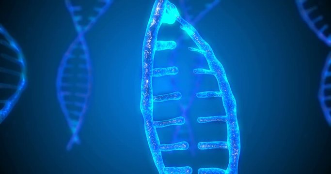 Abstract glittering DNA double helix with depth of field. Animation of DNA construction from debrises. Science animation. Genom futuristic footage. Conceptual design of genetics information. 4k