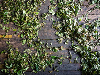 Fresh green tea leaves on the wooden floor.
