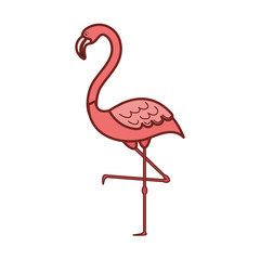 pink flamingo isolated icon