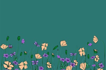 Horizontal border with field flowers isolated on green. Vector illustration. Summer flowers design.