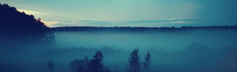 Poster nacht mist landschap natuur / natuur herfst mist blauw landschap van een nachtleven © kichigin19