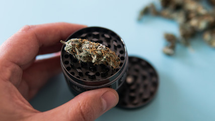metal grinder for grinding marijuana in the male hand on a blue background.