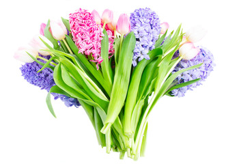 Hyacinth fresh flowers