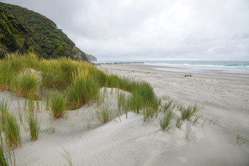 Fossil Point Neuseeland