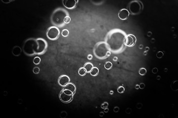 Beautiful colorful black and white soap bubbles texture background and wallpaper