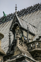 Notre Dame of Paris, France, roof fragement