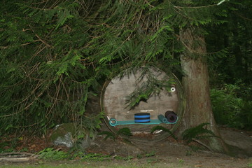peaceful yoga in the forest