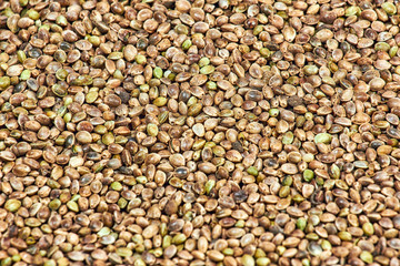 Hemp seeds marijuana grain texture background photo