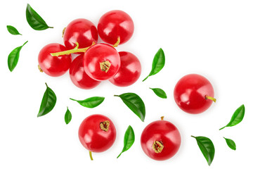 Red currant berry isolated on white background. Top view. Flat lay pattern