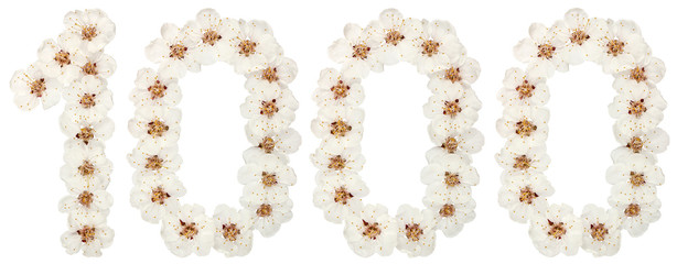 Numeral 1000, one thousand, from natural white flowers of apricot tree, isolated on white background