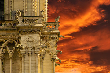 Cathedral Notre Dame Paris, gargoyle incredible fiery red sunset