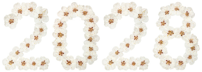 Inscription 2028, from natural white flowers of apricot tree, isolated on white background