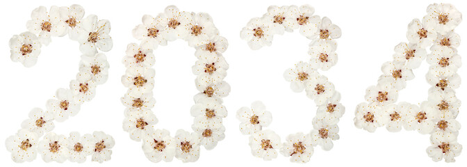 Inscription 2034, from natural white flowers of apricot tree, isolated on white background