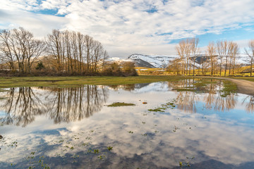 reflejo