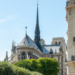 Fototapeta na wymiar Notre Dame Cathedral Paris France