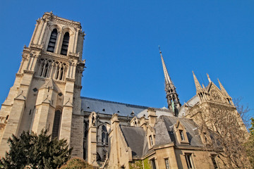 Looking up at Notre Dame Cathedral in Paris