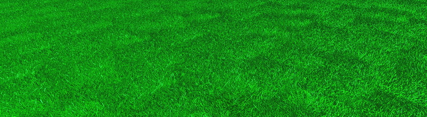 artificial grass, texture of green grass, 3d rendering, trugreen, processed with lawn mower and aerator, panorama