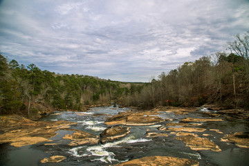river in forest
