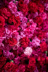 Festival de las flores ,Ciudad de México