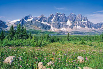 Wildflowers in forest meadow with The Ramparts rising above Amethyst Lake in distance, Tonquin...