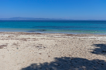 Fototapeta na wymiar Panorama of Xenia Golden Beach at Kassandra Peninsula, Chalkidiki, Central Macedonia, Greece