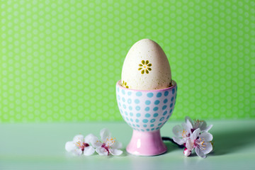 Closeup colorful painted Easter egg in vibrant modern egg stand surrounded by white flowering tree branches on green background.