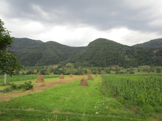 Valea Oltului