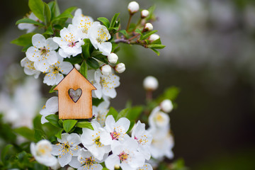Closeup wooden house with hole in form of heart surrounded by white flowering branches of spring trees.
