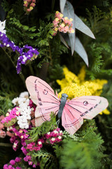 Festival de las flores,Ciudad de méxico