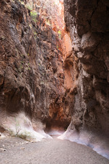 Extremely high and narrow walls guide you along the way. Closed Canyon Trail, Big Bend Ranch State Park, Redford, TX