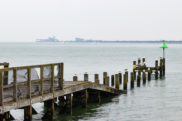 Fototapeta premium old wooden pier construction with seagulls and navigation marker