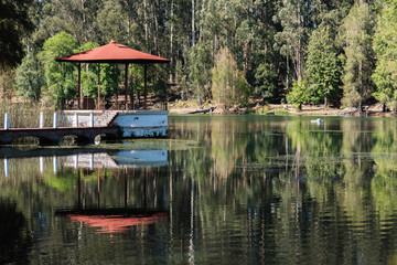 Lake and forest,  sunny day at Ex Hacienda de Chautla, Puebla, Mexico