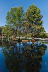 Lake and forest,  sunny day at Ex Hacienda de Chautla, Puebla, Mexico