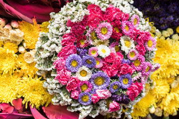 festival de las flores ,Ciudad de México