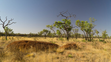 Typical landscape around monumental Uluru in Red Centre, Outback, Australia