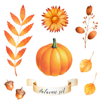 Aumumn set of watercolor vegetables and plants. Fall colorful illustration. Pumpkin, acorn, chrysanthemum, and leaves.