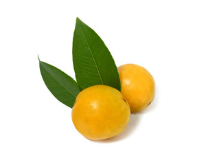 Fruit of Brazil cajarana. Cajá. Sour and delicious fruit with leaves. Isolated Cajaranas fruits.