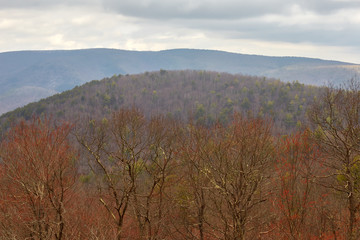 Fototapeta premium View of the St. Mary's Wilderness from Bald Mountain overlook along the Blue Ridge Parkway in the Blue Ridge mountains of central Virginia