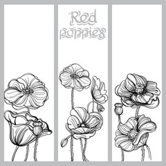 Set of vector vertical banners with hand drawn poppies on white background.