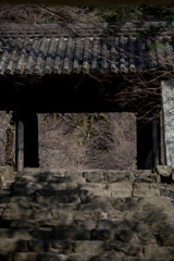 Obraz premium 神社の門